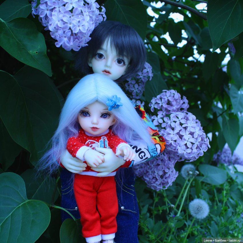 Сирень у двора — Фотоистории с куклами BJD (БЖД): сериалы (фото 3)