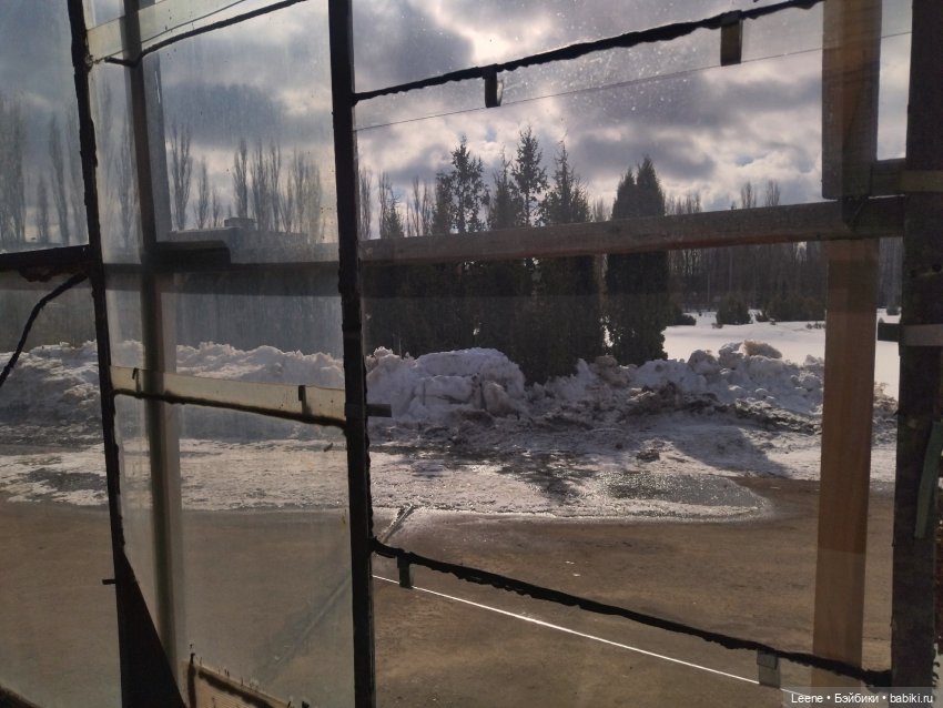 Прогулка в оранжерее Зеленхоза