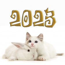 Готовь сани летом, или... 2023 - Поймай удачу за хвост!