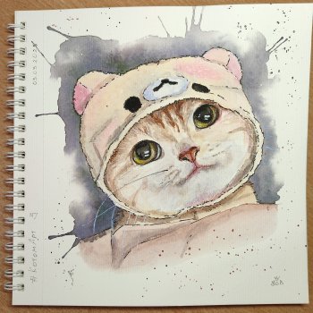 Котики форева!