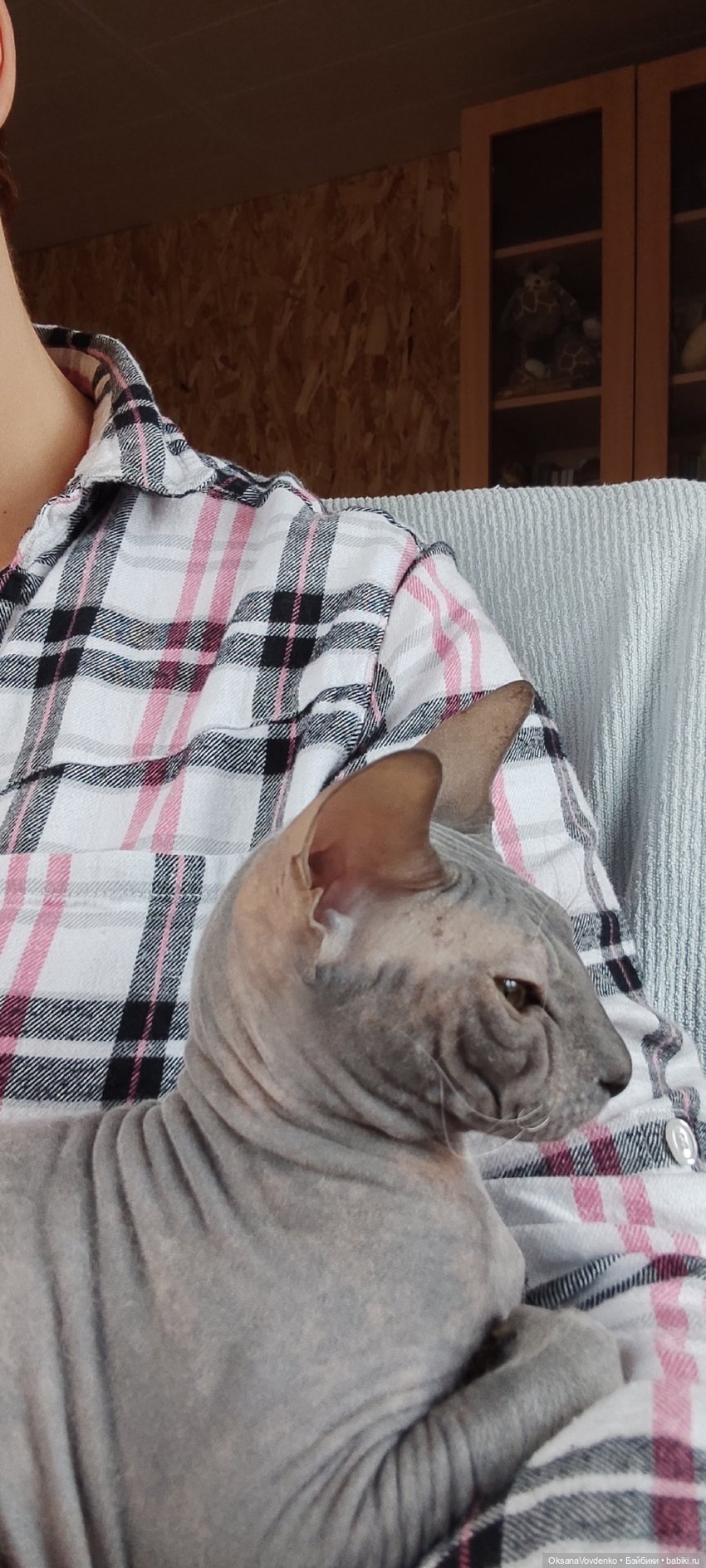 Сказка от Дафны — ООАК Paola Reina (Паола Рейна) и испанских кукол: перерисовка