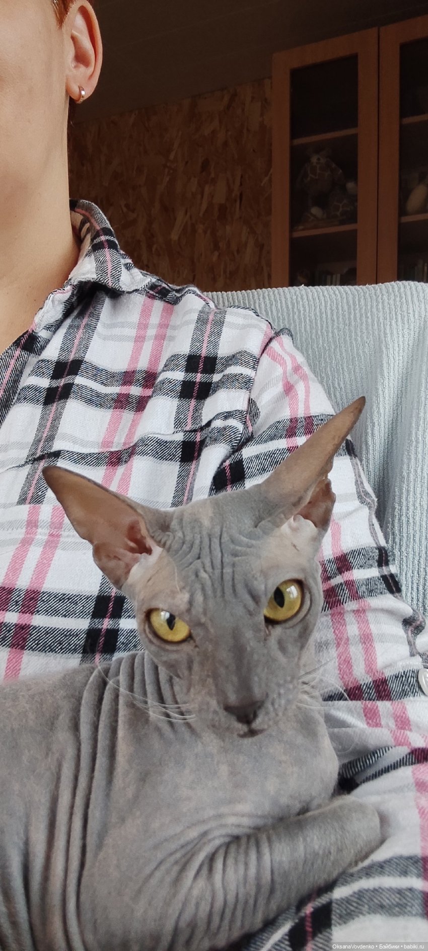 Сказка от Дафны — ООАК Paola Reina (Паола Рейна) и испанских кукол: перерисовка