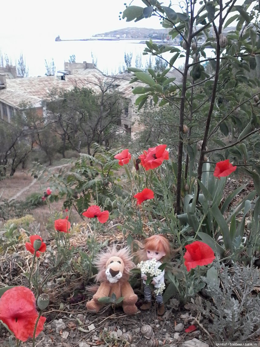 Маленький топик - ВЕСНА... МОРЕ... ВЕТЕР (фото 2)