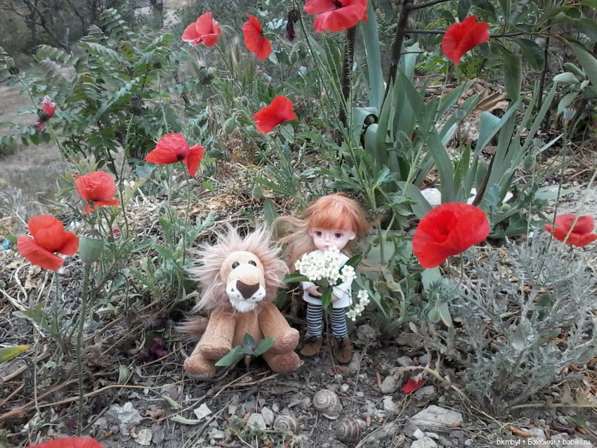 Маленький топик - ВЕСНА... МОРЕ... ВЕТЕР (фото 5)