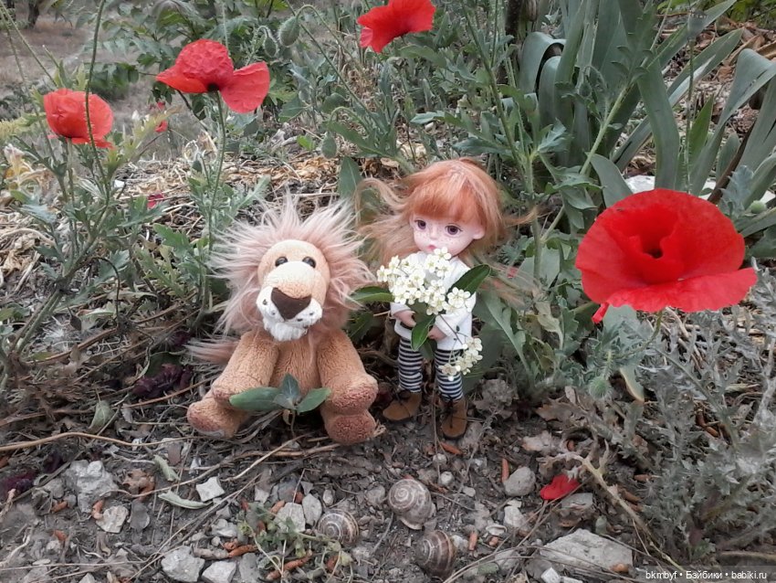 Маленький топик - ВЕСНА... МОРЕ... ВЕТЕР (фото 10)