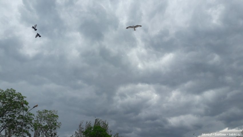 Маленький топик - ВЕСНА... МОРЕ... ВЕТЕР