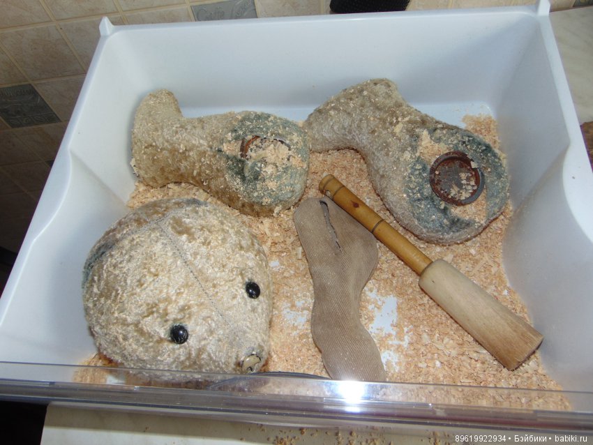 Любовь с первого взгляда и навсегда (фото 3)