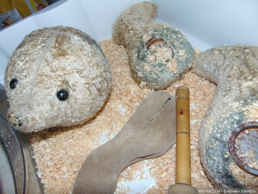 Любовь с первого взгляда и навсегда (фото 4)