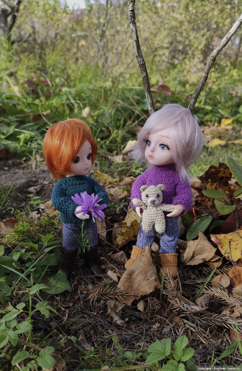 баболи, ивка