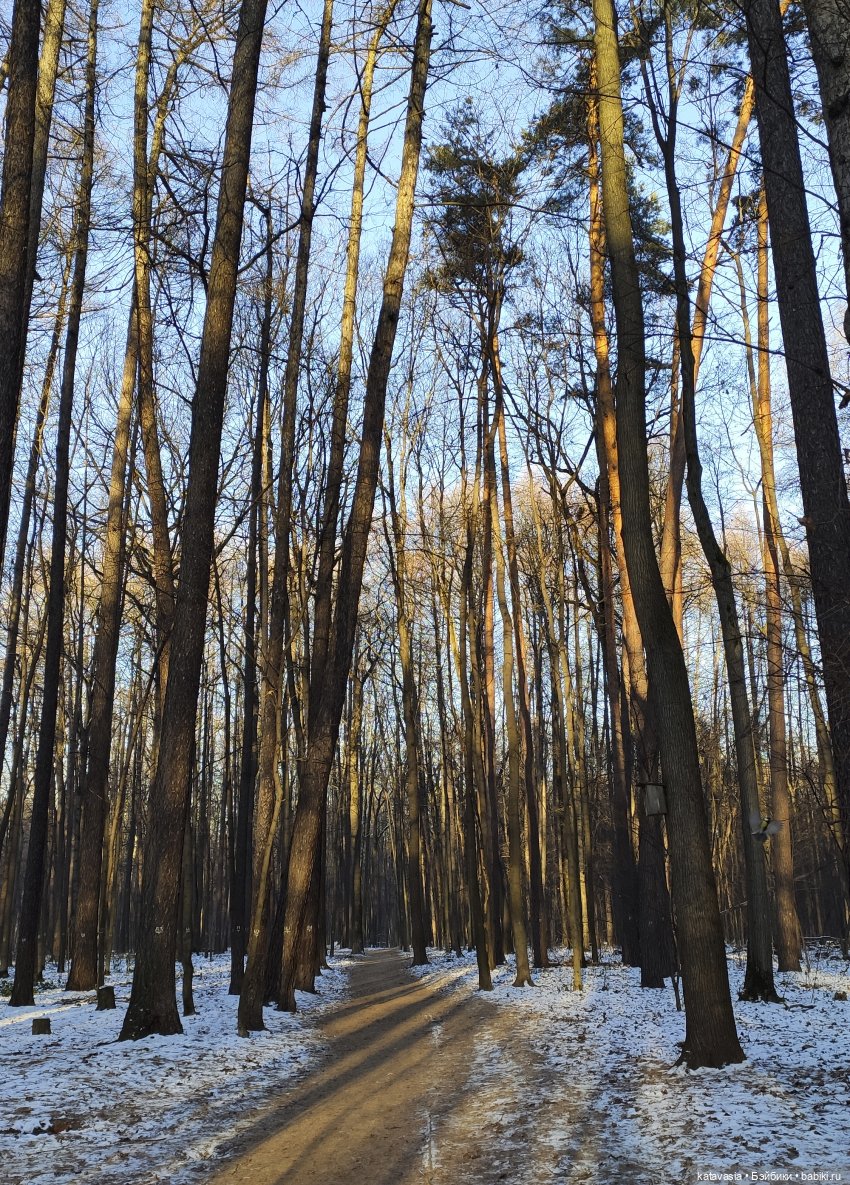 Нинка - маленькая разбойница