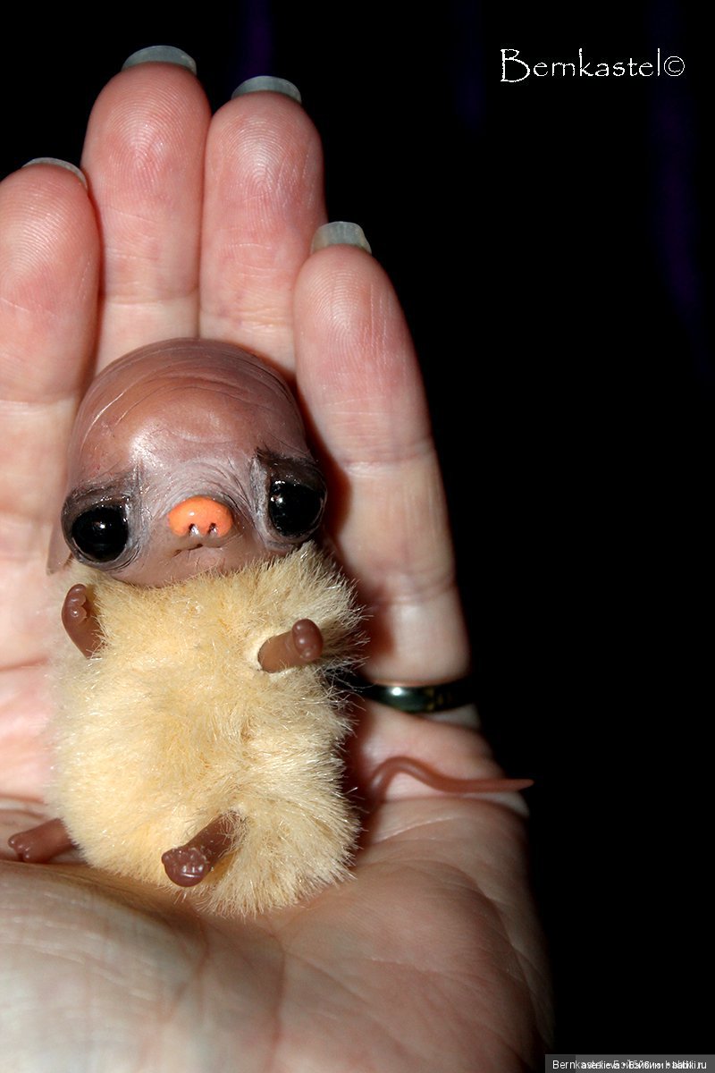 С наступающим Новым годом (фото 8)