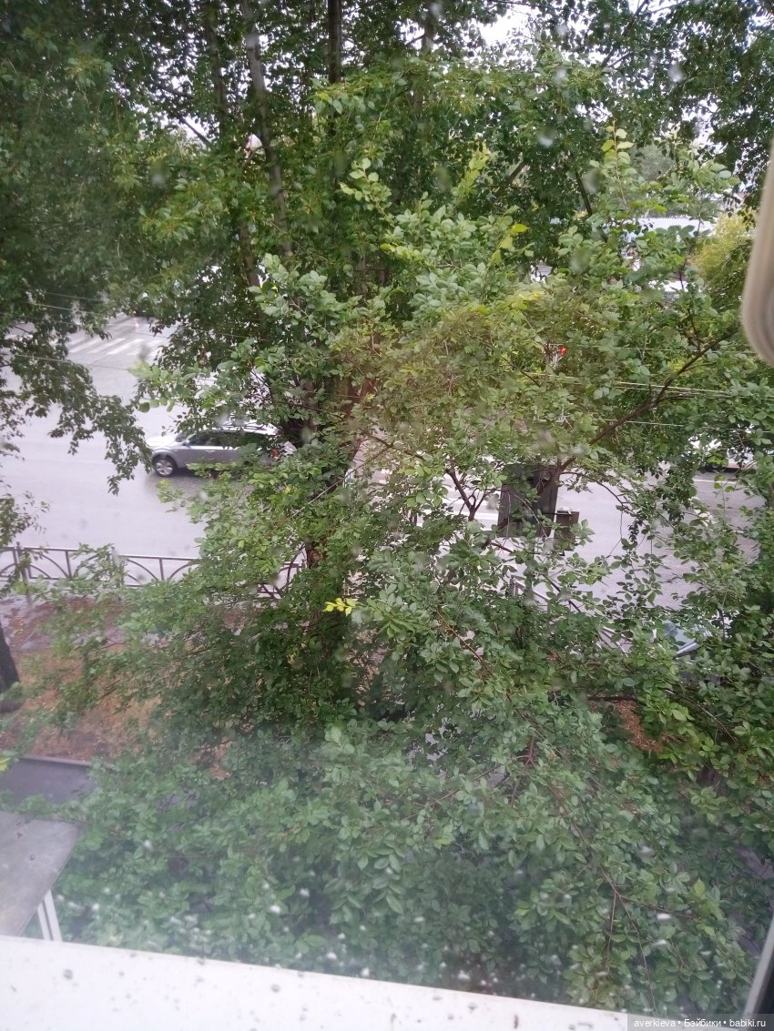 Моя Дульсинея. Чудик, домовенок, изюминка любимая