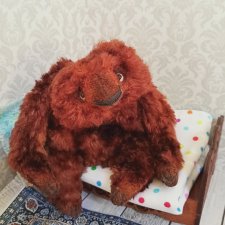 Новый житель Имбирь