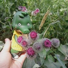 Прогулка с Жориком.