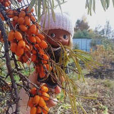 Юлька ...Малышка пуговка