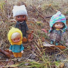 Осенние зарисовки...Дождливое ...