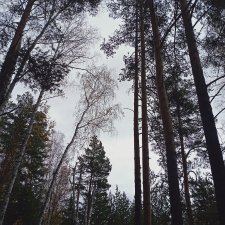 Уж небо осенью дышало...