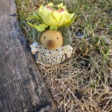 Ежевика Цветочек ранункулюс