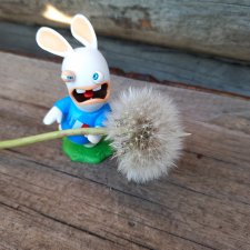 Чуча, мой Чуча...