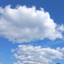 Рабоче- крестьянское...