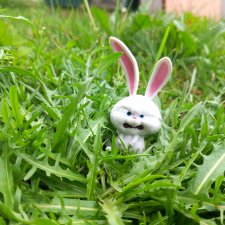 Заяц- никому не здрасьте