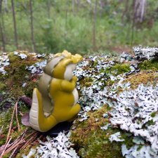 По лесу проходила такая крокодила...