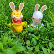 Зайсы...Снова заселяйцы.