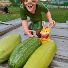 Народился урожай