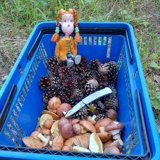 Лесотерапия