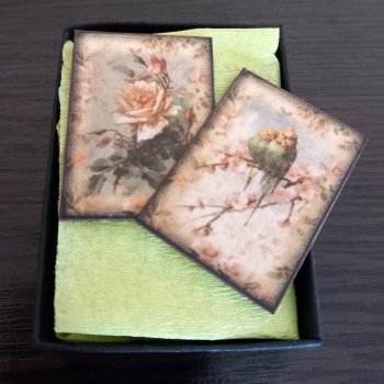 Мимимилота от DianaMo.