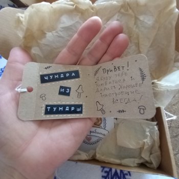 Чундра из тундры. Часть первая.