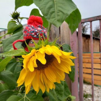 Матильда. Будни.