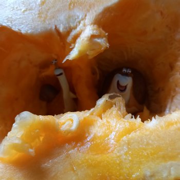 Самый осенний суп