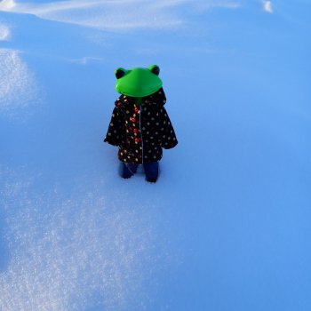 Не страшны нам холода