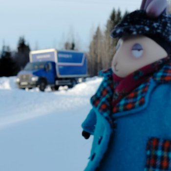 Немного зимнего. Зайцелама Рафаэль