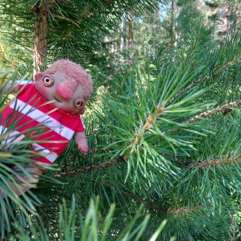 Террики. Кешью