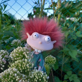 Красивое... Летнее