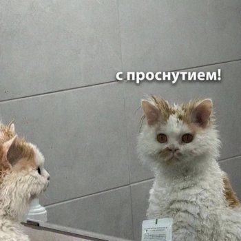 Просто день