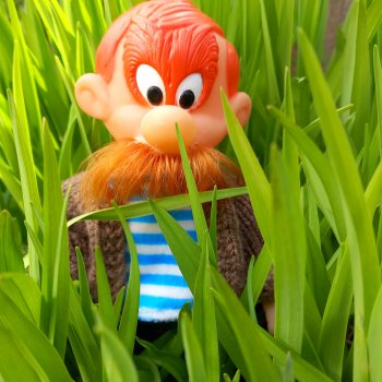 Мир! Труд! Май!