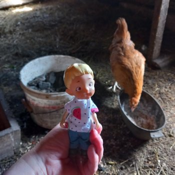 Бесстрашный Санька и куры.