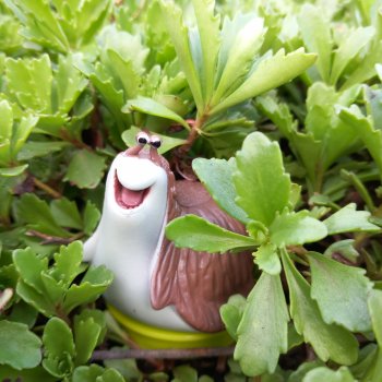 Просто Пумба. Просто красотаааа!