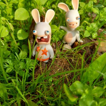 Чуча и Мачо.