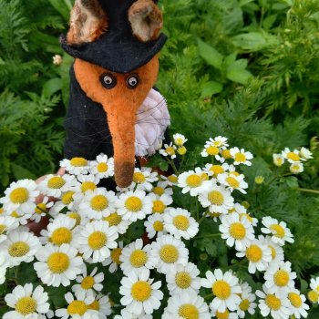 Друг мой, Пушкин!