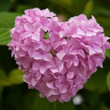 С днем рождения МЕНЯ!( традиционное, ежегодное)