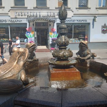 Зоологический Музей Казани.