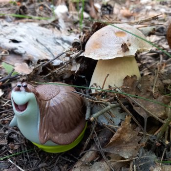 Ни минуты покоя...Воскресенье