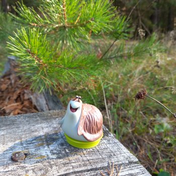 Лесное. Красивое.