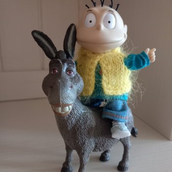 Скакун арабский. Одомашненый.