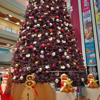 Как Мурзик в торговый центр ходил.