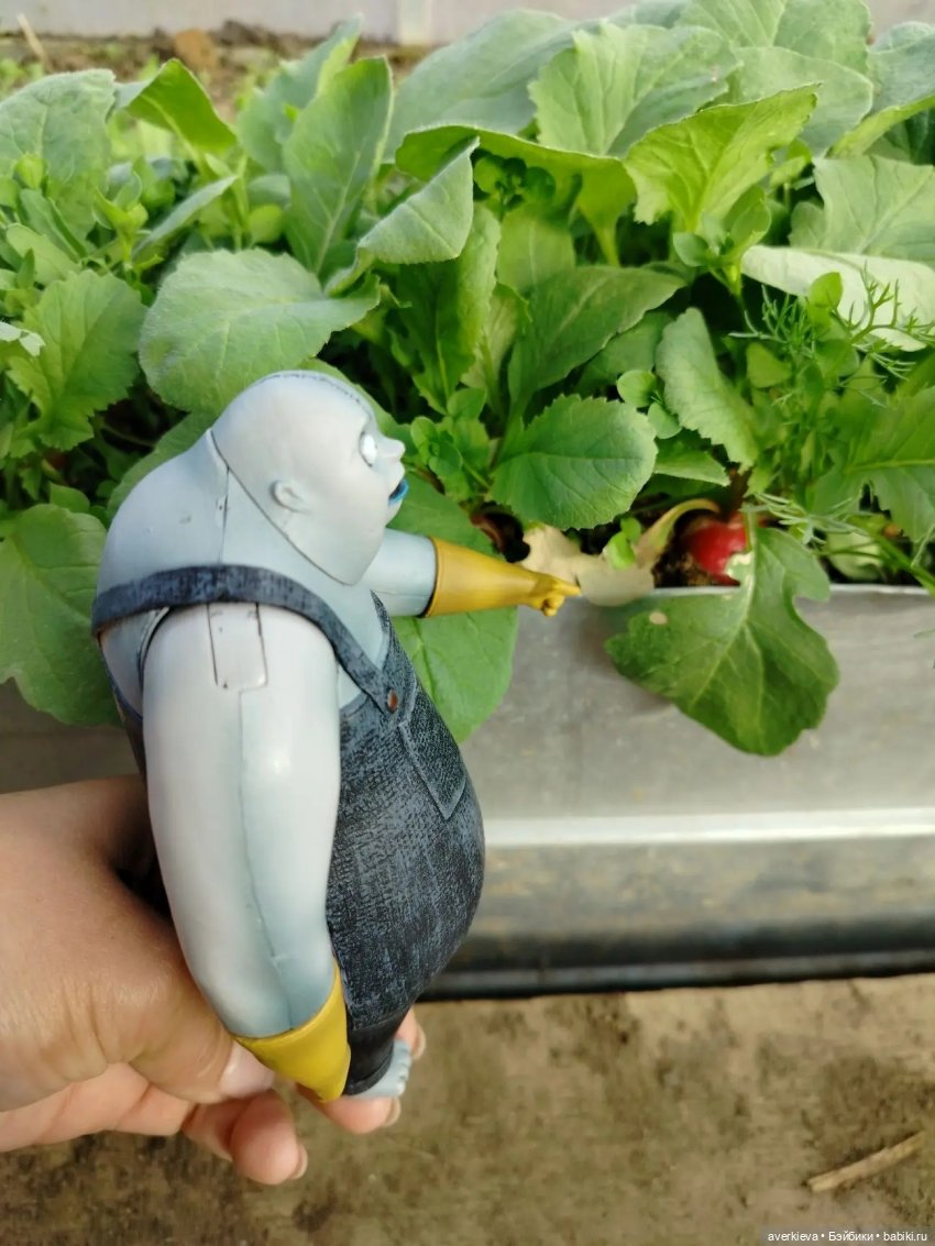 Альфред в Вологде — Игровые куклы разных производителей (Разное): редкие бренды (фото 6)